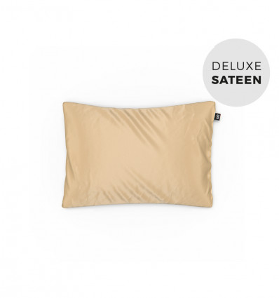 Desert Dream Baby Pillowcase
