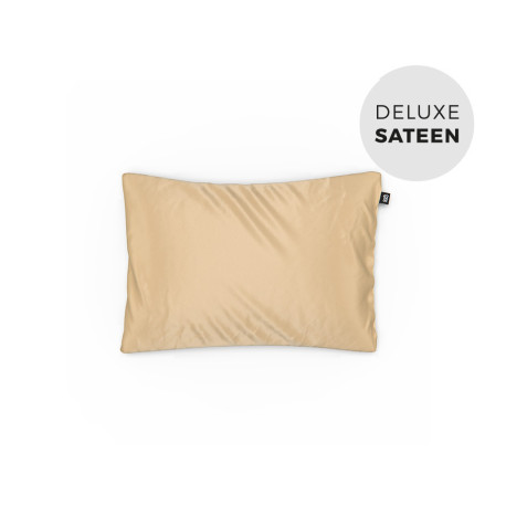 Desert Dream Baby Pillowcase
