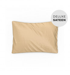 Desert dream toddler pillowcase