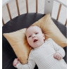 Desert Dream Baby Pillowcase