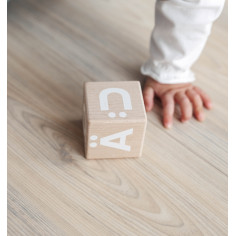 Nordic Wooden Alphabet Blocks 2