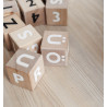 Nordic Wooden Alphabet Blocks