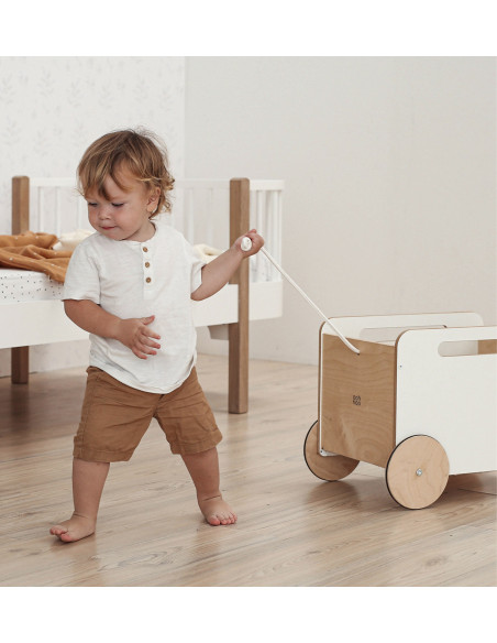 Toy Chest on Wheels