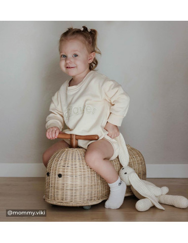 Ride On Kids Toy Rattan Rider