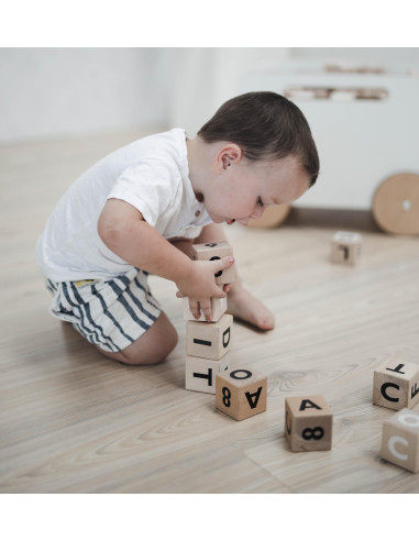 Wooden Alphabet Blocks in Black