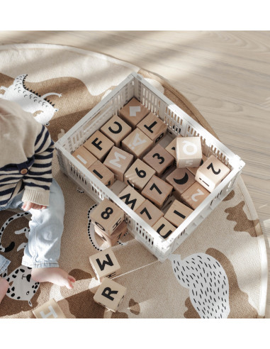 Wooden Alphabet Blocks in Black