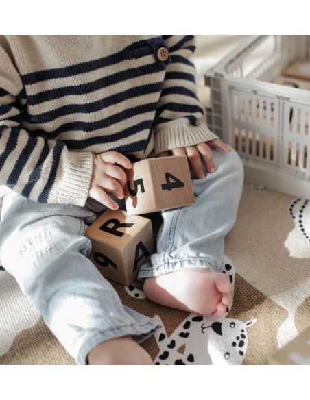 Wooden Alphabet Blocks in Black