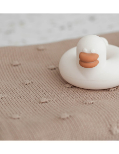 Duckie Set in a Gift Box