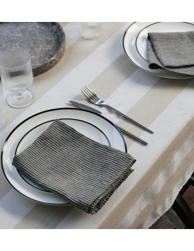 Linen Napkins - Horizon