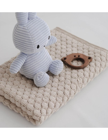 Nest darilni komplet z modrim Miffy zajčkom