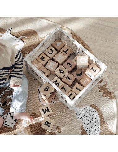 Wooden Alphabet Blocks in Black