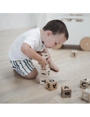 Wooden Alphabet Blocks in Black