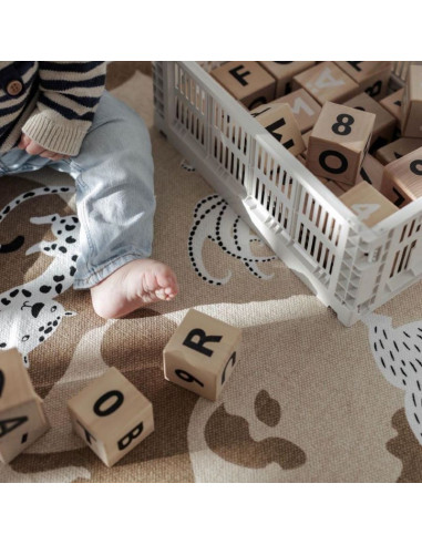 Wooden Alphabet Blocks in Black