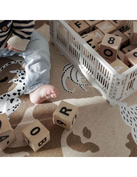 Wooden Alphabet Blocks in Black