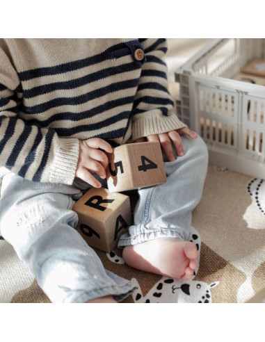 Wooden Alphabet Blocks in Black