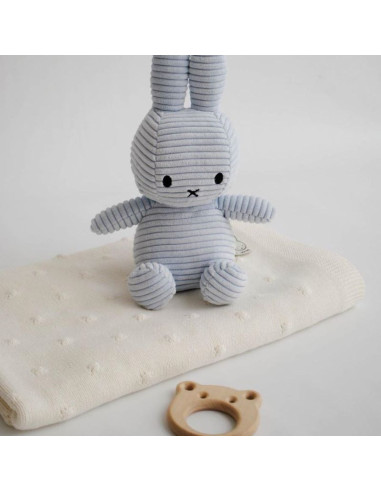 Blue Miffy Popcorn Set in a Gift Box