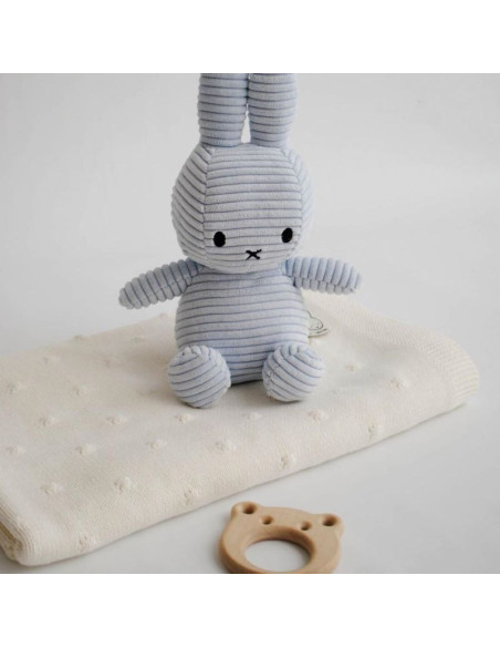 Blue Miffy Popcorn Set in a Gift Box