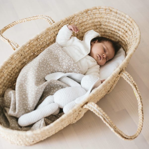 Baby in a Moses Basket