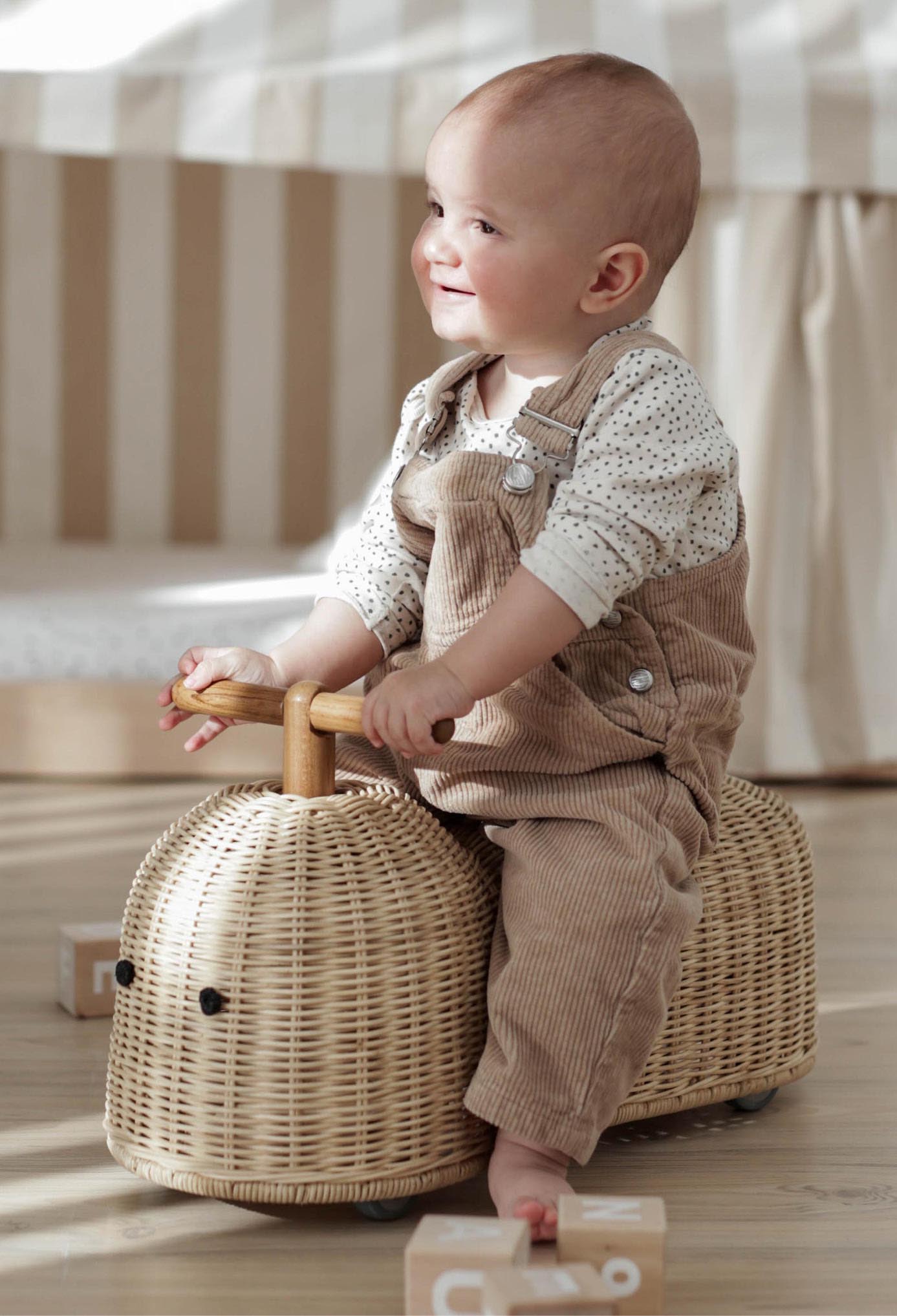 Why Ride-On Toys for 1-Year-Olds Are Perfect for Early Development_6 Toddler on Ride On Toy